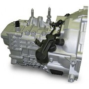 BUSHWACKER 2G DSM Transmission