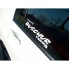 Buschur Racing Decals (Pair)